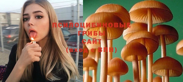 не бодяженный Белокуриха