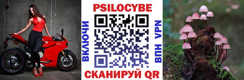Галлюциногенные грибы мухоморы  Мышкин 